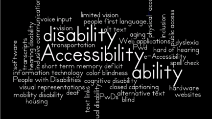 meaning and definition of disability