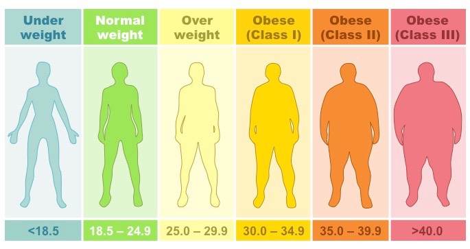 The importance of knowing your Body Mass Index (BMI)