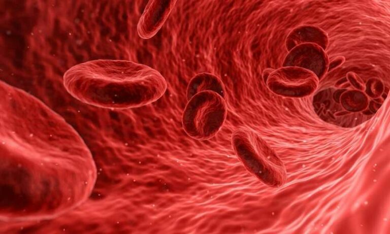 types of blood groups in india