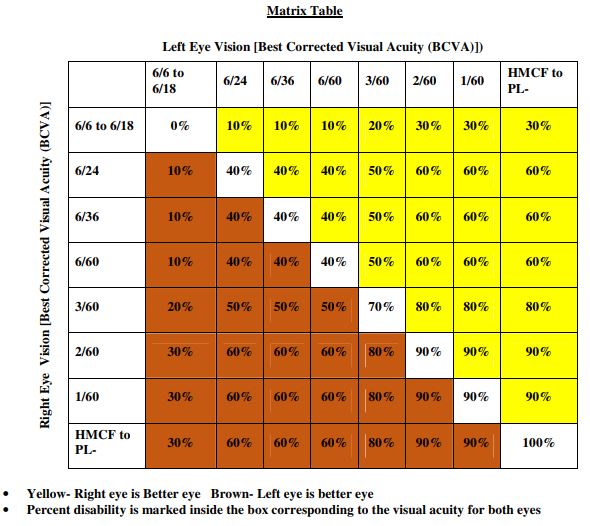 Visual Disability Percentage Chart In India