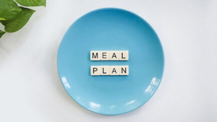 a healthy meal plan is important for maintaining ideal body weight
