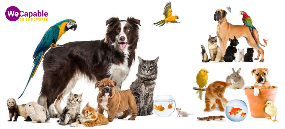 various types of pets