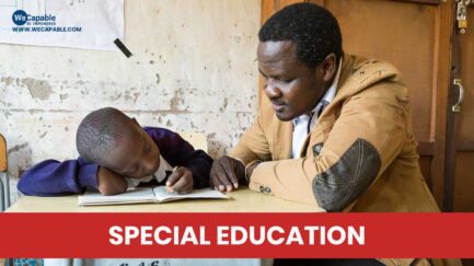 a special educator teaching a child in need of special education